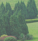 商业智能管理的ddos在线攻击工具