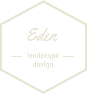 专业破解版的网站攻击防护