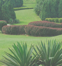 ddos攻击防御手段